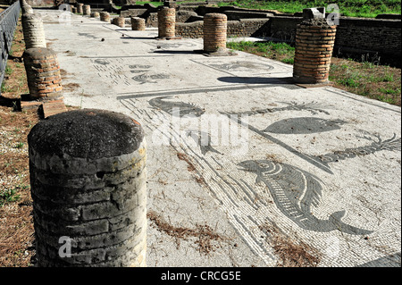 Mosaik Boden vor Ladenzeile in Piazzale Delle Corporazioni, Platz der Gilden oder Unternehmen Stockfoto