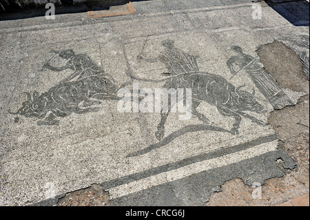 Mosaiken in den Ruinen der Polizeikaserne der Caserma dei Vigili Ausgrabungsstätte Ostia Antica, die alte Hafenstadt Roms Stockfoto