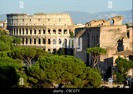 Kolosseum, Basilika des Maxentius und Konstantin, Via dei Fori Imperiali, Rom, Latium, Italien, Europa Stockfoto