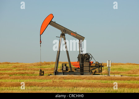 Ölpumpe Öl in die Prärie, Saskatchewan, Kanada Stockfoto