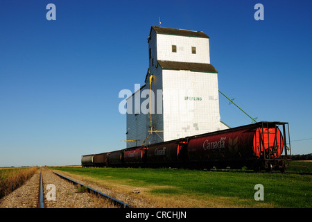 Getreidespeicher, Getreidesilo, Manitoba, Kanada Stockfoto