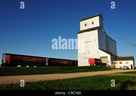 Getreidespeicher, Getreidesilo, Manitoba, Kanada Stockfoto