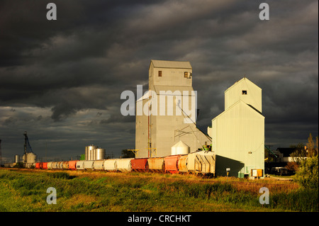 Typischen Getreidespeicher mit Zug und Gewitterwolken, Manitoba, Kanada Stockfoto