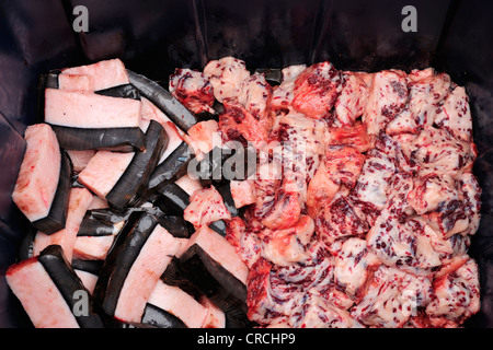 Inuit Kochen Wal-Fett zu essen als Muktuk, Kaktovik, Nordhang, Beaufortsee, Alaska, USA, Amerika Stockfoto