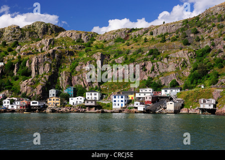 Der Signal Hill Viertel am Hafen von St. John's, der Hauptstadt von Neufundland, Kanada, Nordamerika Stockfoto