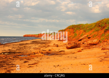 Roten Sandstein-Klippen und Strände, typische Küstenlinie in Prince Edward Island National Park, Prince Edward Island, Kanada Stockfoto