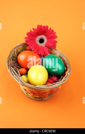 Osternest mit bunten Shortbread Eiern, Eiern und eine Gerbera-Blume Stockfoto