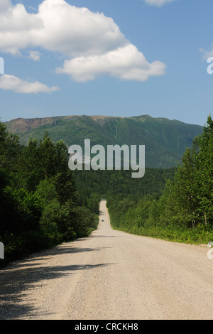 Unbefestigte Straße durch den Parc national De La Gaspésie-Nationalpark im Chic-Choc Berge, Gaspésie oder Gaspé-Halbinsel Stockfoto