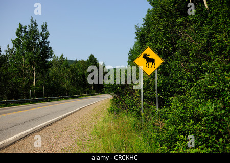 Verkehrszeichen Achtung Kreuzung Elch, Parc national De La Gaspésie-Nationalpark in den Bergen Chic-Choc Stockfoto