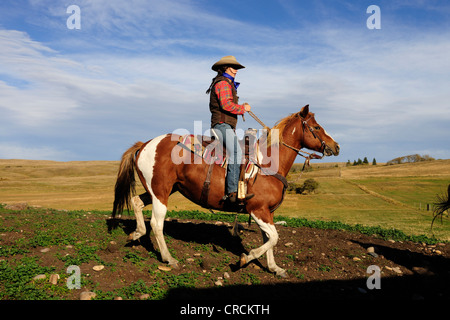 Cowgirl Reiten über die Prärie, Saskatchewan, Kanada, Nordamerika Stockfoto