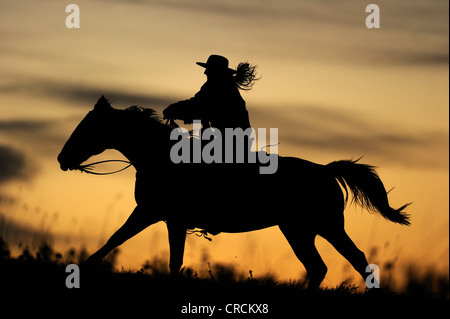 Cowgirl Reiten über die Prärie, Silhouette bei Sonnenuntergang, Saskatchewan, Canada Stockfoto