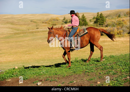 Cowgirl Reiten quer durch die Prärie, Saskatchewan, Kanada Stockfoto