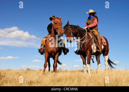 Ein Cowgirl und ein Cowboy sitzt auf ihre Pferde, Saskatchewan, Kanada Stockfoto