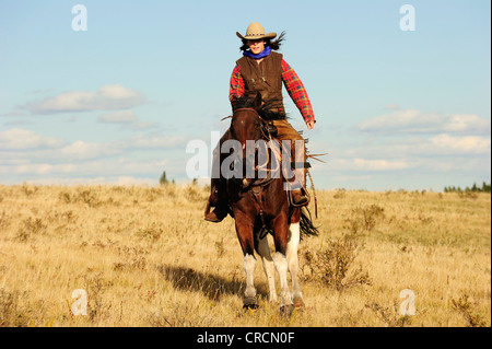 Cowgirl Reiten über die Prärie, Saskatchewan, Kanada, Nordamerika Stockfoto