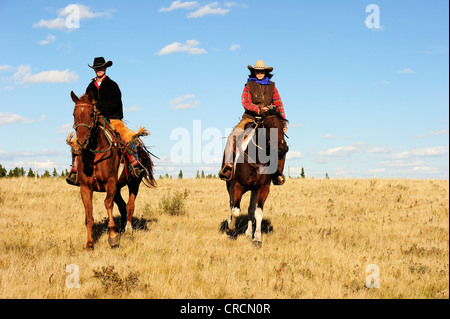 Cowboy und Cowgirl Reiten über die Prärie, Saskatchewan, Kanada, Nordamerika Stockfoto