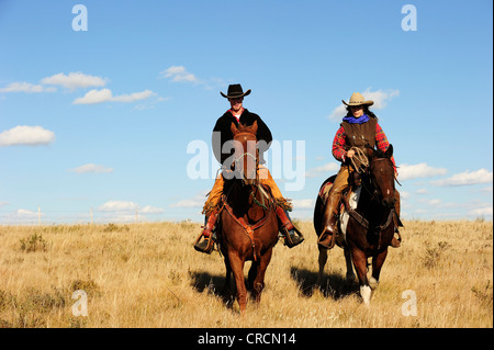 Cowboy und Cowgirl Reiten über die Prärie, Saskatchewan, Kanada, Nordamerika Stockfoto