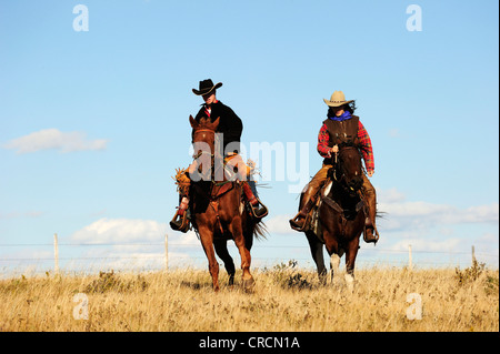 Cowboy und Cowgirl Reiten über die Prärie, Saskatchewan, Kanada, Nordamerika Stockfoto