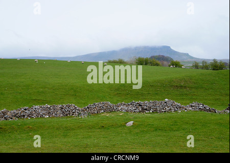 Pen-y-Gent von Horton in Ribblesdale, Yorkshire Dales National Park, England. Stockfoto