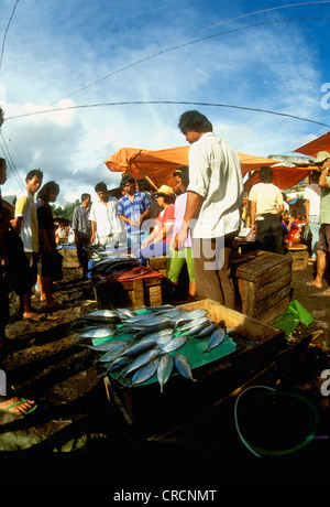 Samstagsmarkt im Dorf Tomahon, Indonesien, Sulawesi Stockfoto