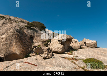 Felsformationen in Aggius Berge, Aggius, Sardinien, Italien, Europa Stockfoto