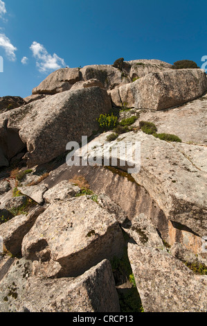 Felsformationen in Aggius Berge, Aggius, Sardinien, Italien, Europa Stockfoto