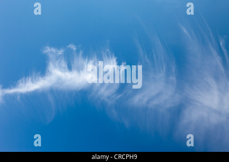 Cirruswolken vor blauem Himmel Stockfoto