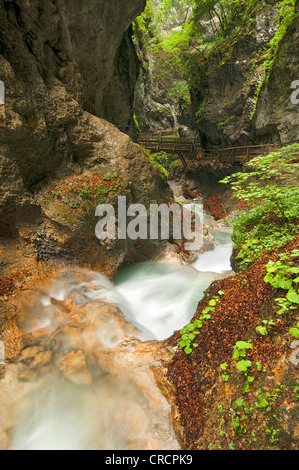 Bach in der Schlucht Wolfsklamm Stans, Karwendel-Gebirge, Tirol, Österreich, Europa Stockfoto