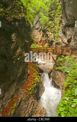 Bach in der Schlucht Wolfsklamm Stans, Karwendel-Gebirge, Tirol, Österreich, Europa Stockfoto