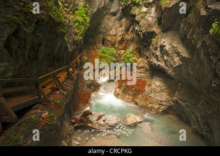 Bach in der Schlucht Wolfsklamm Stans, Karwendel-Gebirge, Tirol, Österreich, Europa Stockfoto