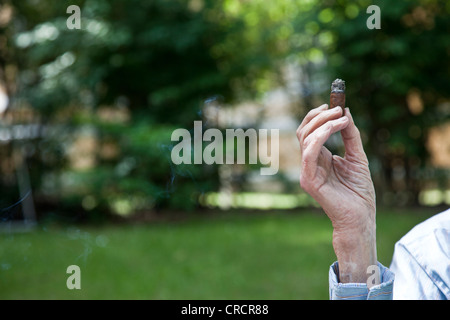 Hand eines älteren Mannes hält eine rauchende Zigarre, Zigarre stub Stockfoto