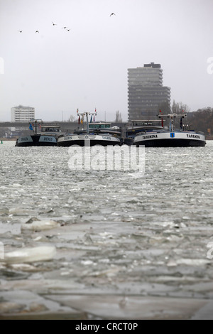 Frachtschiffe stecken in das Eis an der Mosel bei Guels, Koblenz, Rheinland-Pfalz, Deutschland, Europa Stockfoto