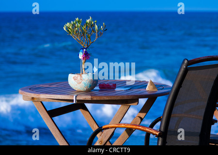 Kleinen Olivenbaum im Blumentopf stehen auf dem Tisch Woodden am Ufer Meeres mit griechischer Flagge Stockfoto