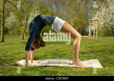 Junge Frau beim yoga Stockfoto