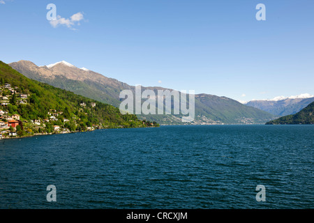 Aussicht von Cannobio, Pino Lago Maggiore, Punkt des Sees mit Alpen im Rücken Boden, Lago Maggiore, italienische Seen, Italien Stockfoto