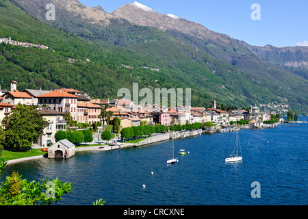 Aussicht von Cannobio, Pino Lago Maggiore, Punkt des Sees mit Alpen im Rücken Boden, Lago Maggiore, italienische Seen, Italien Stockfoto