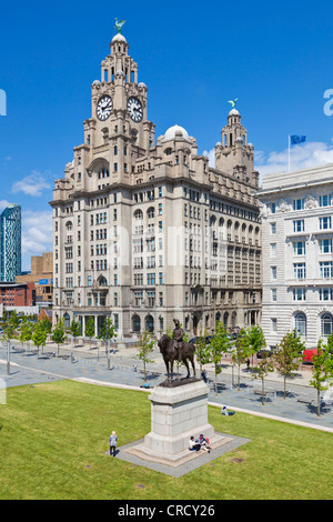 Leber Liverpool Waterfront Merseyside England uk gb EU-Europa Stockfoto