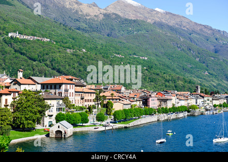 Aussicht von Cannobio, Pino Lago Maggiore, Punkt des Sees mit Alpen im Rücken Boden, Lago Maggiore, italienische Seen, Italien Stockfoto