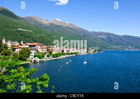 Aussicht von Cannobio, Pino Lago Maggiore, Punkt des Sees mit Alpen im Rücken Boden, Lago Maggiore, italienische Seen, Italien Stockfoto