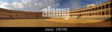 Panoramablick auf die Stierkampfarena von Ronda, Ronda, Andalusien, Spanien, Europa Stockfoto