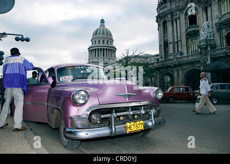 Oldtimer vor dem Capitol, Capitolio, Kuba, Karibik, La Habana Stockfoto