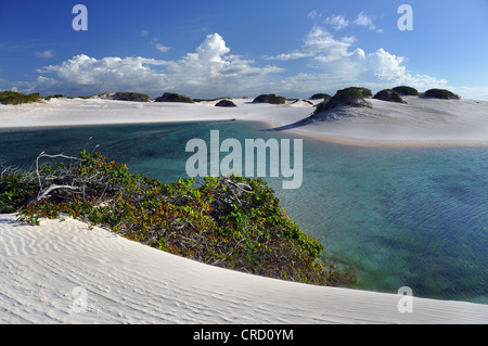 Kristallklaren Lagune in der Wüste von Lençóis Maranhenses, Maranhão, Brasilien, Südamerika Stockfoto