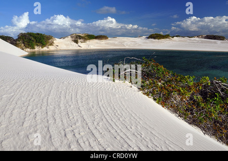 Kristallklaren Lagune in der Wüste von Lençóis Maranhenses, Maranhão, Brasilien, Südamerika Stockfoto