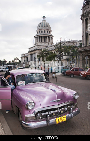 Oldtimer vor dem Capitol, Capitolio, Kuba, Karibik, La Habana Stockfoto