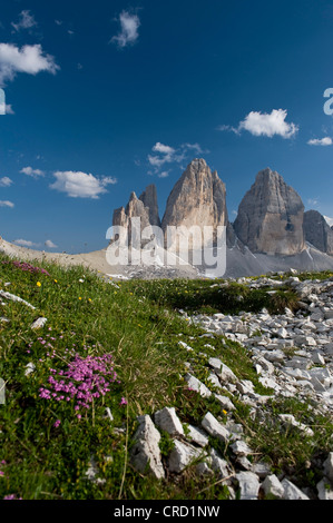 Tre Cime di Lavaredo, Dolomiten, Südtirol, Italien Stockfoto