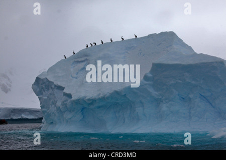 Eisberg, Antarktis Stockfoto