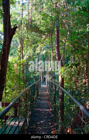 Sky Walk in Carara Nationalpark, Costa Rica Stockfoto