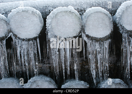 Norwegen Fichte (Picea Abies), Holzlager im Winter mit Eiszapfen, Deutschland, Nordrhein-Westfalen, Sauerland Stockfoto