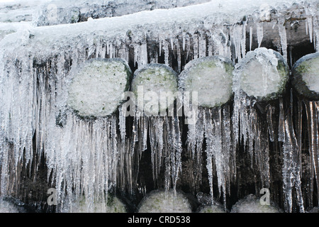 Norwegen Fichte (Picea Abies), Holzlager im Winter mit Eiszapfen, Deutschland, Nordrhein-Westfalen, Sauerland Stockfoto