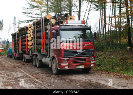 Gemeine Fichte (Picea Abies), meldet sich ein Lastwagen, Deutschland, Nordrhein-Westfalen Stockfoto