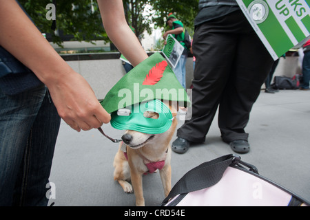 Rally vor JPMorgan Chase Hauptsitz auf der Park Avenue in New York zu fordern die Wiederaufnahme einer globalen Robin Hood-Steuer Stockfoto